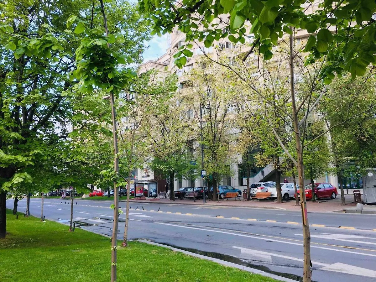 Homestay City Center Unirii Square Private Rooms With City View - Shared Amenities Bucharest